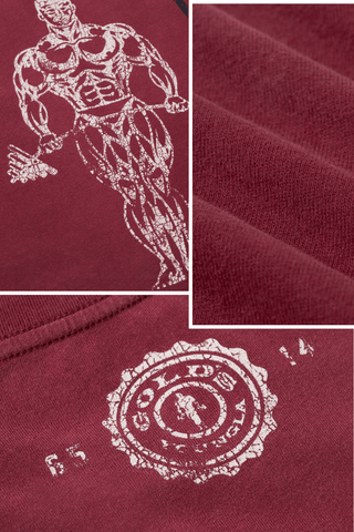 4213 - Gold's Iron Legacy Icon Tees