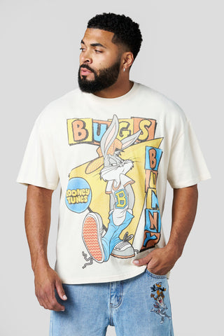 4291 - Looney Tunes Vintage Tees