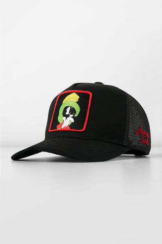 9135 - Looney Tunes Patch Trucker Hats