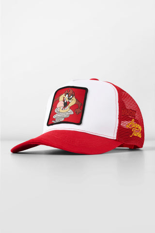 9135 - Looney Tunes Patch Trucker Hats