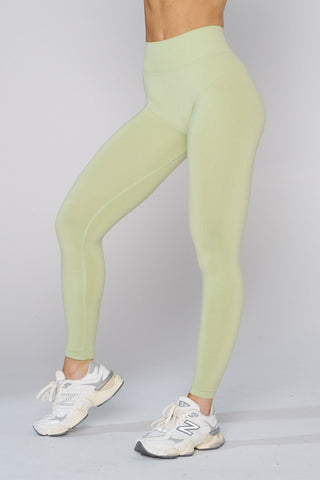 W233 - Curve Seamless Leggings