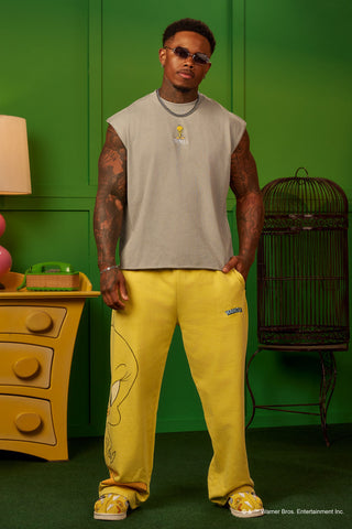 3107 - Looney Tunes Embroidered Cut-offs