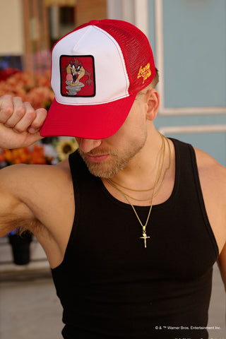 9135 - Looney Tunes Patch Trucker Hats