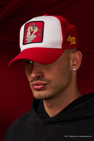 9135 - Looney Tunes Patch Trucker Hats