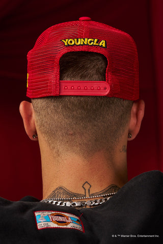 9135 - Looney Tunes Patch Trucker Hats