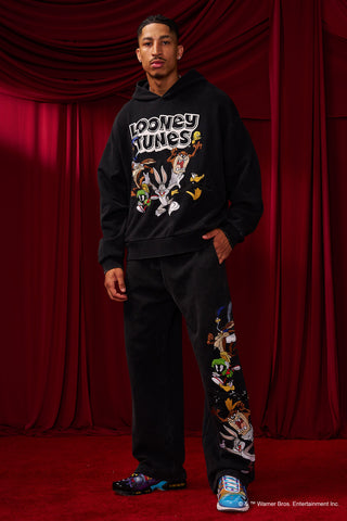 5114 - Looney Tunes Embroidered Hoodies