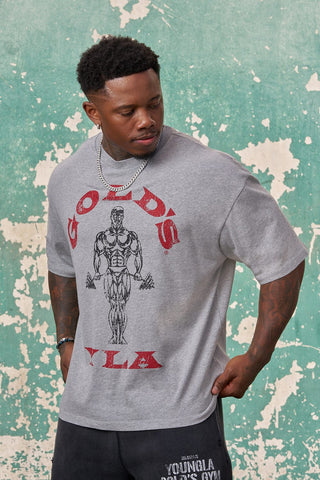4213 - Gold's Iron Legacy Icon Tees